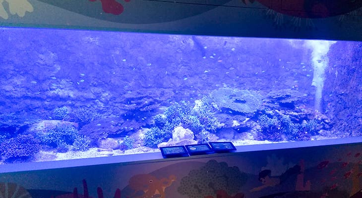 串本海中公園 水族館